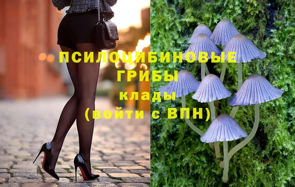 мдма Белокуриха