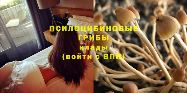 apvp Беломорск